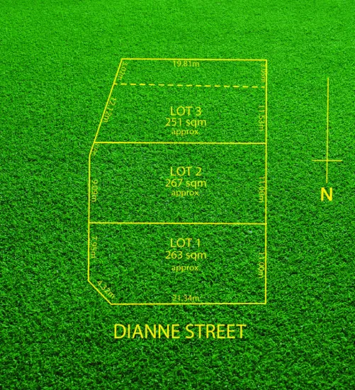 10 Dianne Street, Happy Valley, SA 5159