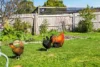 10 Donohoe Street, Cygnet, Tas 7112-Image