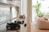 10 Dyson Street, Putney, NSW 2112-Image