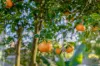 10 Edward Street, Gympie, Qld 4570-Image