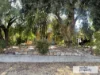 10 Ellen Street, Tea Tree Gully, SA 5091-Image