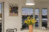 10 Ellerslie Crescent, Taringa, Qld 4068-Image