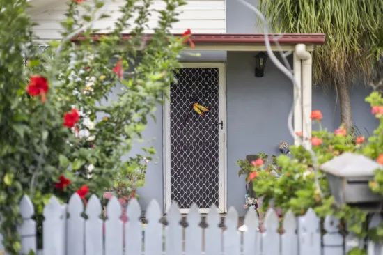 10 Elworthy Street, Harlaxton, Qld 4350