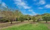 10 Ethel Street, Oak Park, Vic 3046-Image