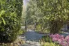 10 Fern Road, Little Hampton, Vic 3458-Image