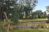 10 Fern Road, Little Hampton, Vic 3458-Image
