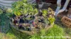 10 Flinders Street, Russell Island, Qld 4184-Image