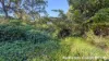10 Flinders Street, Russell Island, Qld 4184-Image