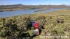 10 Flinders Street, Russell Island, Qld 4184-Image