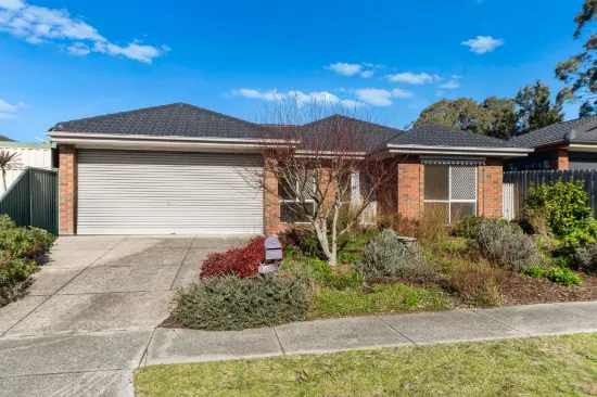 10 Flying Star Walk, Skye, Vic 3977
