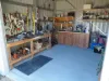 10 Foulis Street, Mareeba, Qld 4880-Image