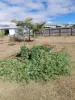 10 Foulis Street, Mareeba, Qld 4880-Image