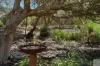 10 Fourth Street, Sapphiretown, SA 5222-Image