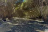 10 Fourth Street, Sapphiretown, SA 5222-Image