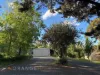 10 Girrahween Place, Orange, NSW 2800-Image