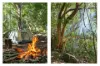 10 Golf Street, Buderim, Qld 4556-Image