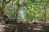 10 Golf Street, Buderim, Qld 4556-Image