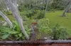 10 Goonda Promenade, Wangi Wangi, NSW 2267-Image