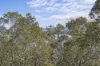 10 Goonda Promenade, Wangi Wangi, NSW 2267-Image