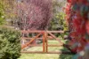 10 Greasons Road, Bundanoon, NSW 2578-Image