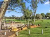 10 Harfoot Street, Willagee, WA 6156-Image