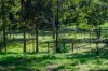 10 Harper Road, Bellmere, Qld 4510-Image