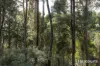 10 Hawleys Lane, Weegena, Tas 7304-Image
