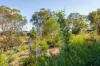 10 Hemiandra Place, Toodyay, WA 6566-Image