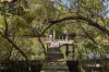10 Henderson Road, Deagon, Qld 4017-Image