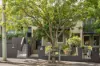 10 Henry Street, Balmain, NSW 2041-Image