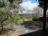 10 Higgins Street, Nannup, WA 6275-Image