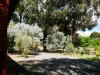 10 Higgins Street, Nannup, WA 6275-Image