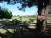 10 Higgins Street, Nannup, WA 6275-Image