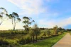10 Horsetail Way, Drouin, Vic 3818-Image