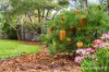 10 Indigo Court, Margate, Tas 7054-Image