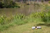 10 Islandview Street, Barellan Point QLD 4306-Image