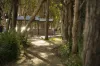 10 Jabiru Drive, Wurtulla, Qld 4575-Image