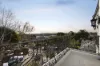 10 Jubilee Street, Mount Waverley, Vic 3149-Image