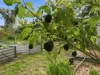 10 Kendall Street, Lutana, Tas 7009-Image