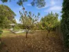 10 Kendall Street, Lutana, Tas 7009-Image