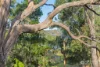 10 King Road, South Bruny, Tas 7150-Image