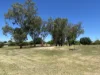 10 Koetong Crescent, West Wodonga, Vic 3690-Image