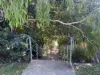 10 Lacie Court, Mudgeeraba, Qld 4213-Image