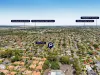 10 Linfield Street, Mansfield, Qld 4122-Image