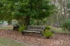 10 Lumeah Avenue, Pimpama, Qld 4209-Image