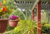 10 Lynette Avenue, Carlingford, NSW 2118-Image