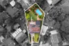 10 Lynette Avenue, Carlingford, NSW 2118-Image