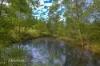 10 Mataranka Road, Veteran, Qld 4570-Image