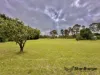 10 Mavin Lane, Thulimbah, Qld 4376-Image