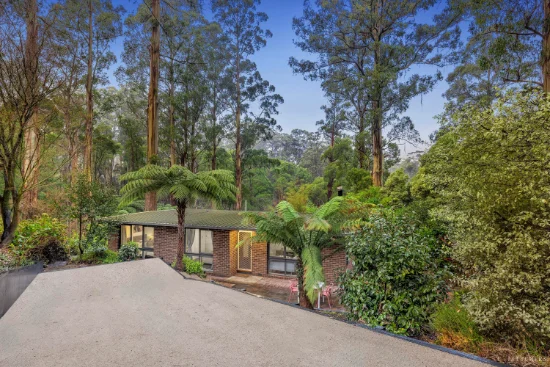 10 Mills Ave, Sassafras, Vic 3787